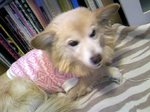 101226_2007~01.jpg