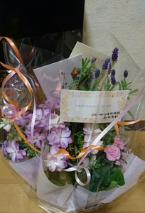 20160425205344292.jpg