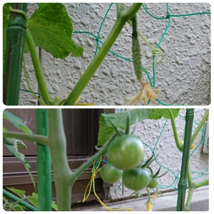 20160522190414145.jpg