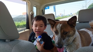 20160618180810273.jpg
