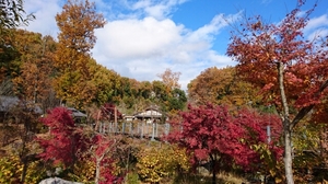 20161124213556418.jpg