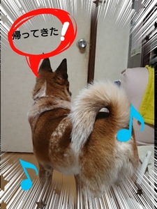 20180323225747517.jpg