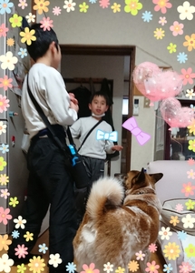 20180323230226604.jpg