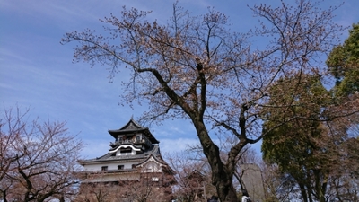20180324195918441.jpg