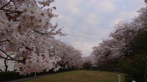 20180327222142949.jpg