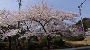 20180329201629129.jpg