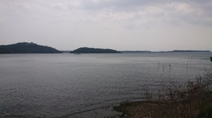 20190329084303726.jpg