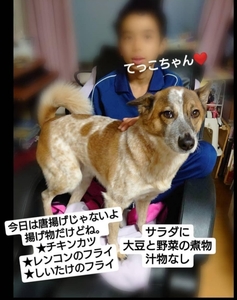 20191122232838488.jpg
