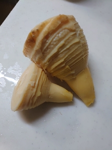 20200327224559730.jpg