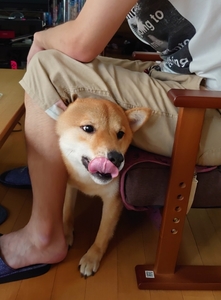 20200720220959997.jpg