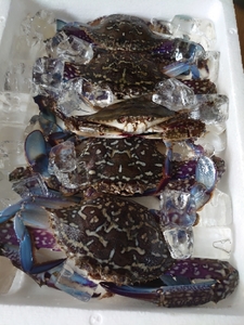20200723222452444.jpg