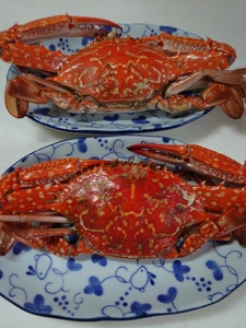 20200723222523000.jpg
