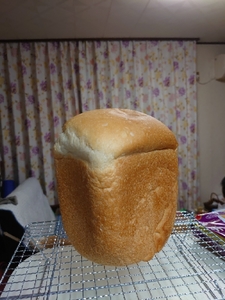 20200827233545688.jpg