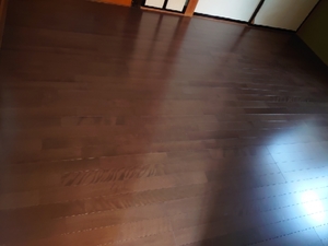 20210220203336049.jpg