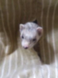 DSC_0471.jpg