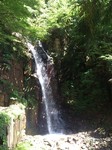 DSC_0513.jpg