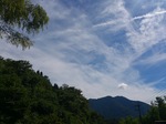 DSC_0514.jpg