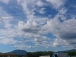 DSC_0517.jpg