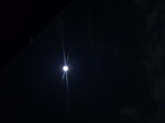 DSC_0524.jpg