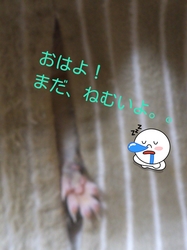 LINEcamera_share_2013-01-29-07-34-05.jpg