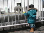 PICT0494.JPG