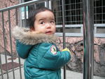 PICT0502.JPG