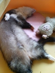 image1370.jpg